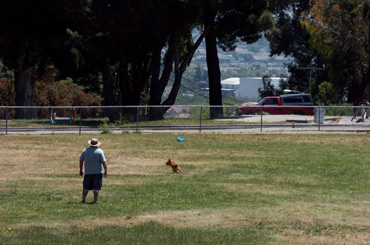 Why a downtown area campus works