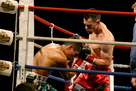 The career of Robert