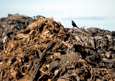 Marty: The 1,000-ton teaching tool