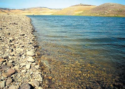 California issues 25 percent water-delivery forecast