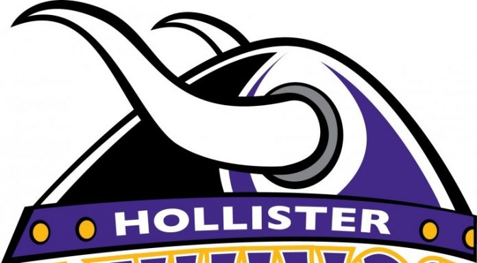 Football: Vikings hold off Falcons