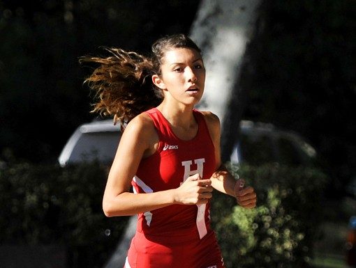 Roundup: Estrada leads Balers to another victory in Gilroy