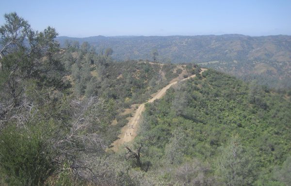 Coe Park advocates ‘cautiously optimistic’