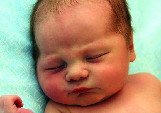 Scrapbook Nov. 19-23, 2012