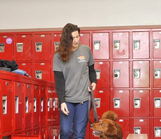 Dogs can sniff out trouble on campus