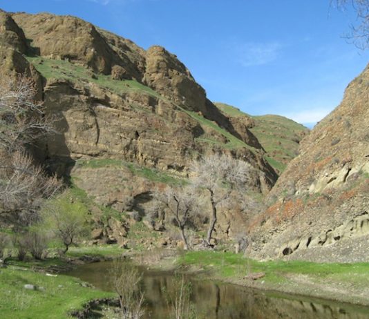 Popular “Path of the Padres” hikes to resume soon