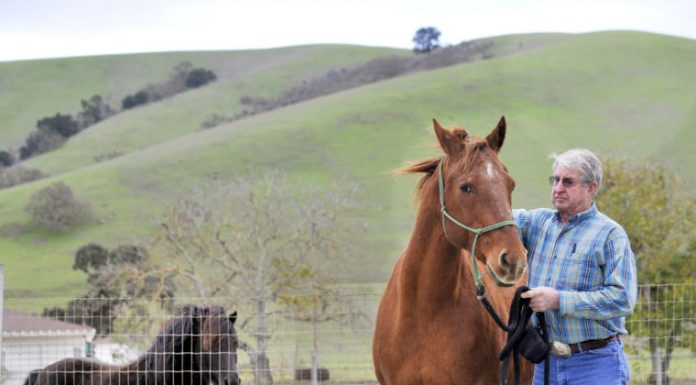 Always a Friend to the Four-Legged