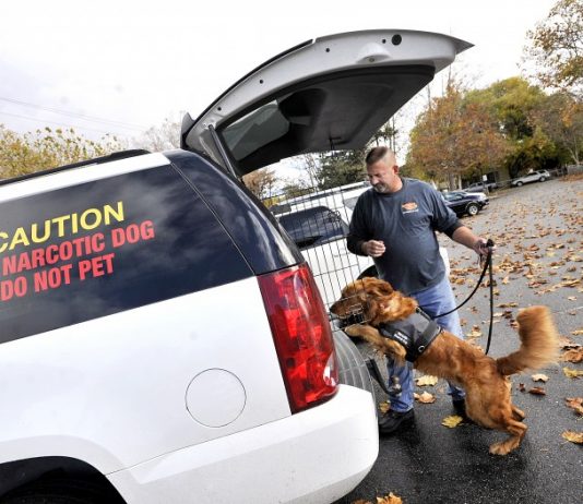 Buzz: Wonder Woofs approved for Rancho San Justo