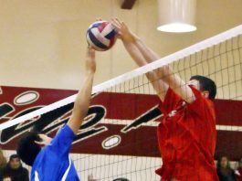 Roundup: Volleyball team continues success