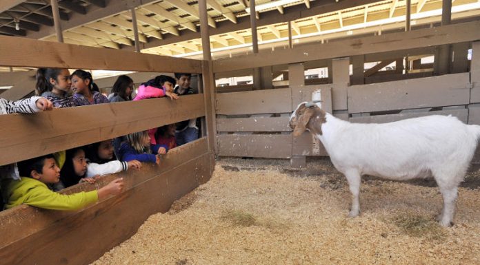Sharing the farm way with students