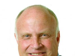 Need a companion? Adopt a greyhound