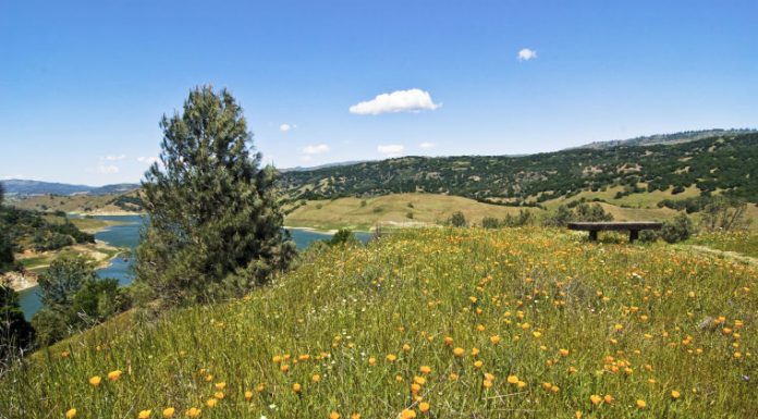 Getting Out: Rosendin Park a local treat