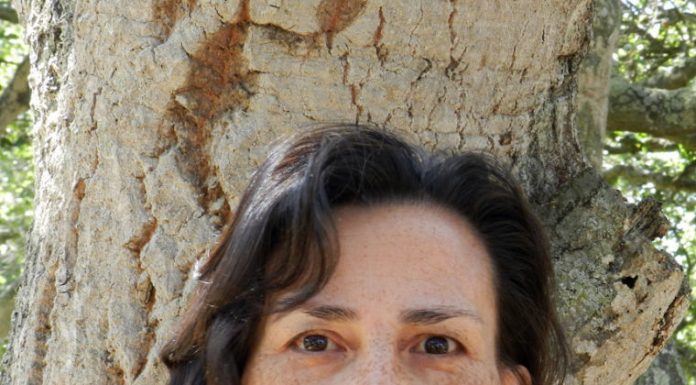 Santos named a finalist for Handbag Designer Awards