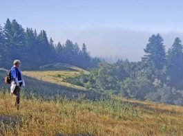 Getting Out: Nature is the best medicine