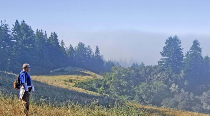 Getting Out: Nature is the best medicine