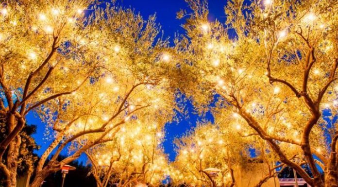 Wedding venue reports layoffs