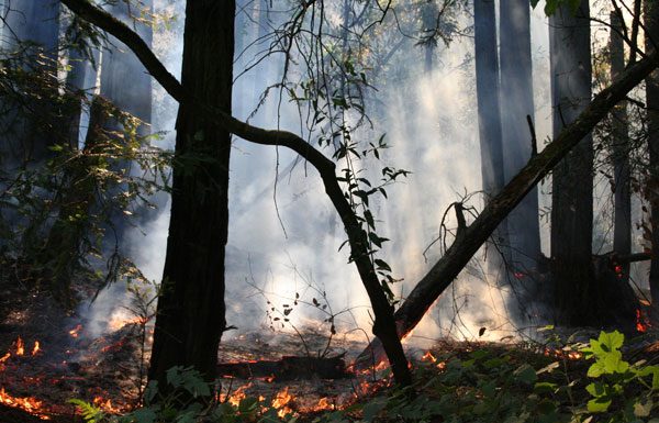 South County weathers severe fire season