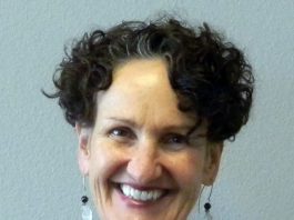 Community Solutions names Lisa Davis COO