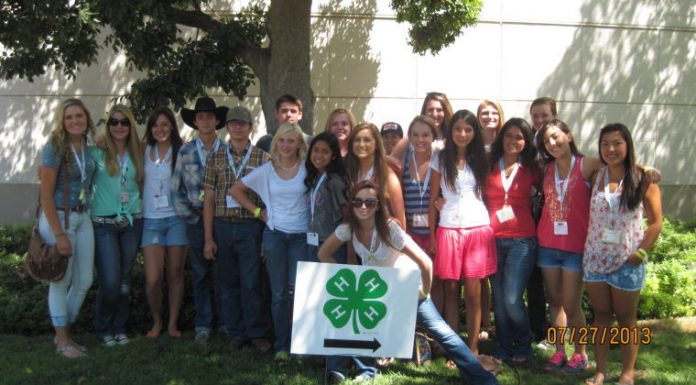 San Benito County 4-H teens lead the way