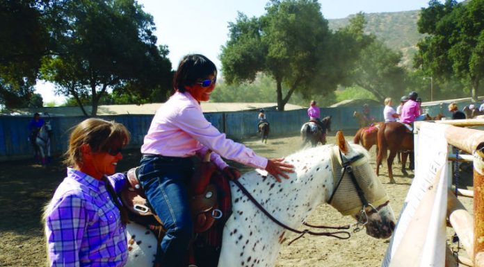 Blind pony finds its way at state gymkhana finals