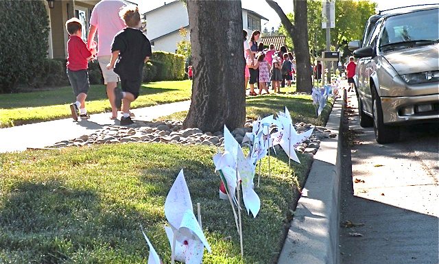 Observances planned for International Day of Peace