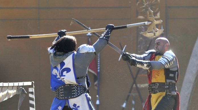 Top 5: Renaissance Faire at Casa de Fruta