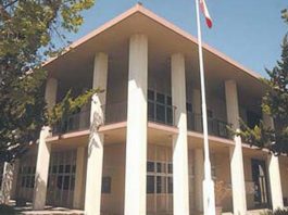 Arraignment set for woman accused of embezzling from dog rescue group