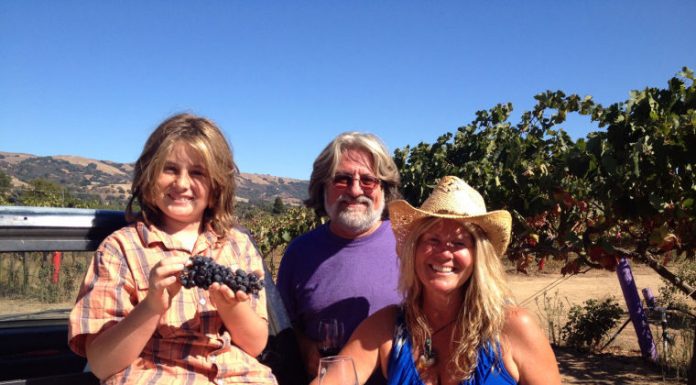 Volunteers pick and learn about harvest