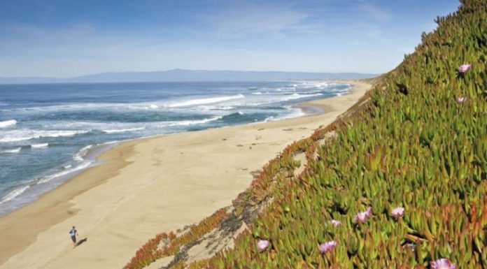 VA announces $6.7M for veterans cemetery at Fort Ord