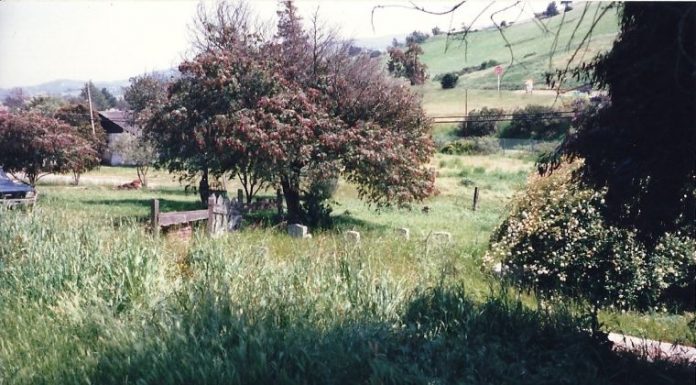 Honoring His Family’s Past