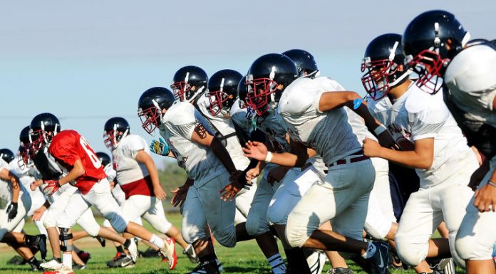 Anzar earns high marks for 2013 season