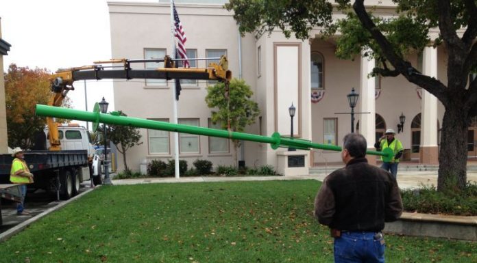 Photos: Tree of Life goes up in downtown Hollister