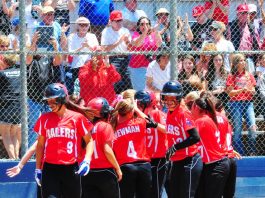 Sports: A Look Back at 2013