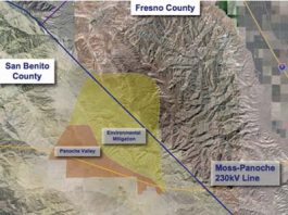 Panoche solar farm on hold due to environmental issues