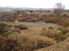 Water officials urge conservation in midst of rare storms