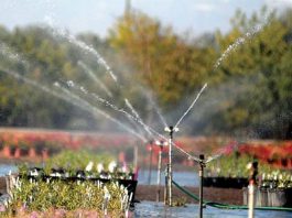 Water district calls for voluntary conservation