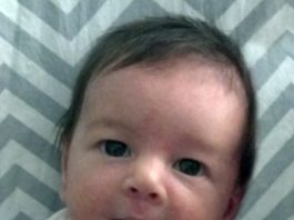 Scrapbook Feb. 23-March 1, 2014