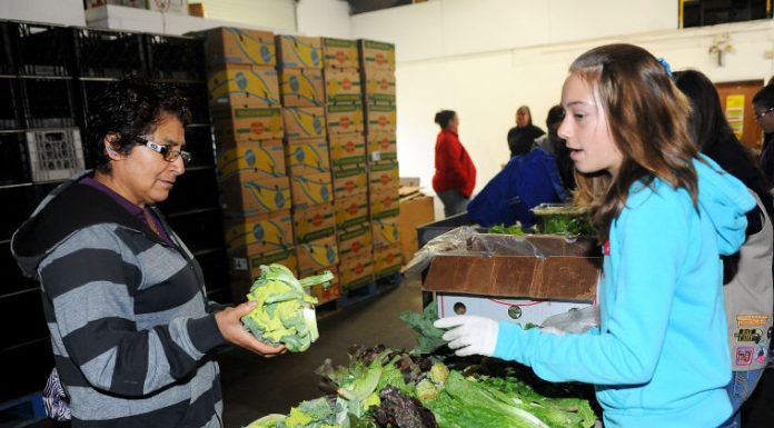 ‘Do Not Eat’ testing labels spur concern at food bank