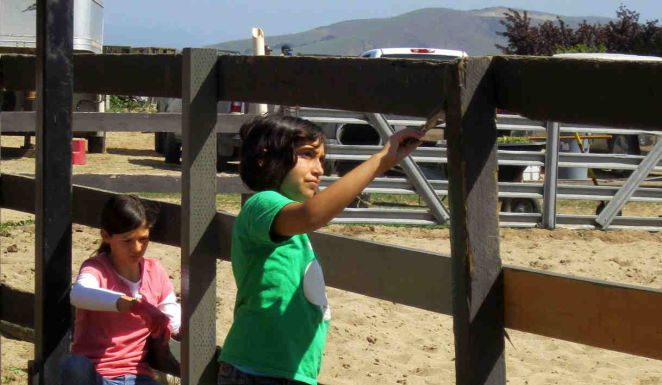 Students take ‘responsibility’ to repair rescue group’s fence