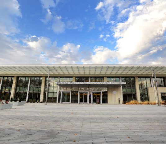 Local woman accepts plea deal for embezzling from dog rescue group