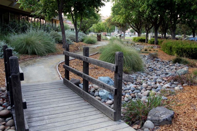 Lush lawn? That’s so 1980s