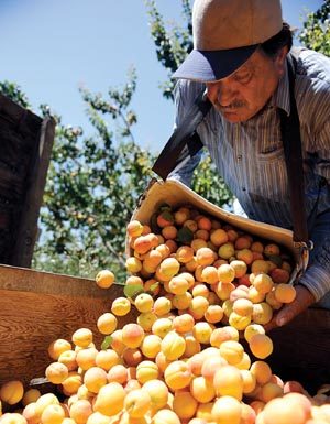 County jobless rate ticks up in July