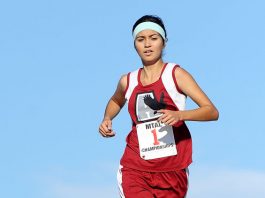 Hawks expect to soar once again