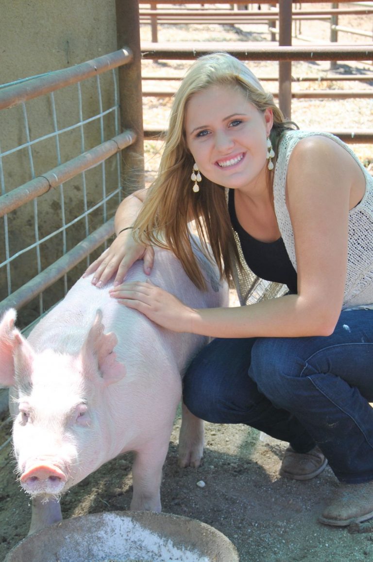 Big pig ready for ‘big year’ at county fair