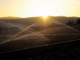 San Juan water ban could remain in effect for months yet