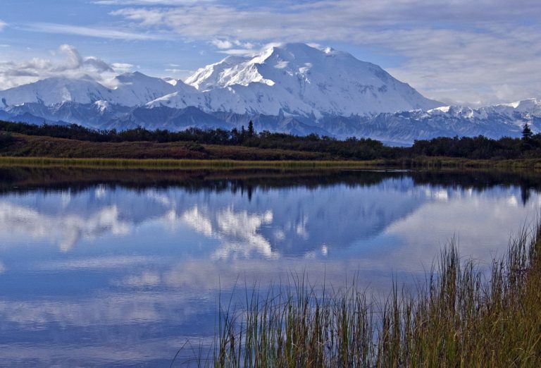 Take in the wonders of Denali