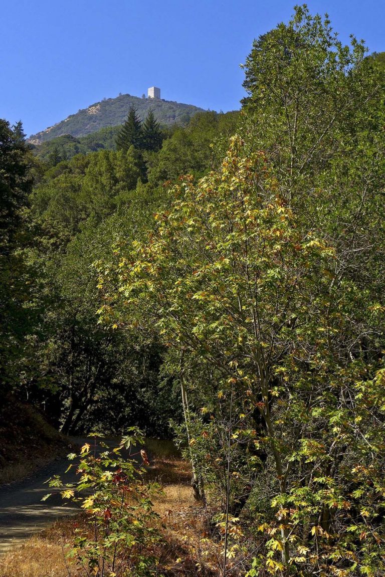 Explore the trails and beauty beneath Mt. Umunhum