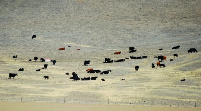 Guest View: Do you know where your mineral rights are?