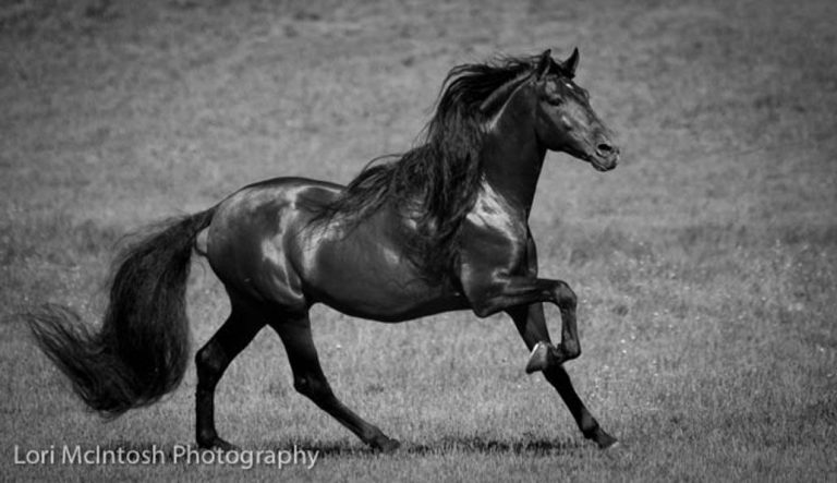 Photography runs in the family