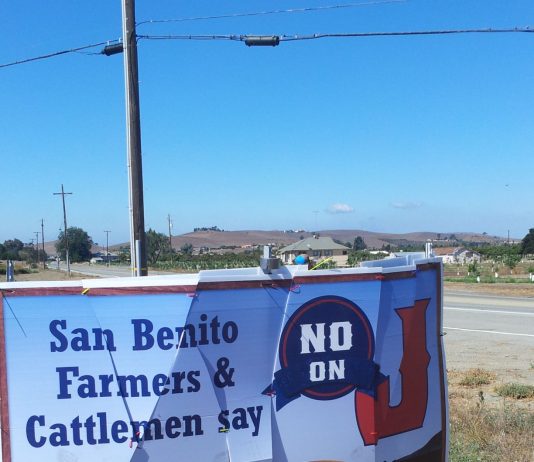 Both sides of Measure J debate report sign damage